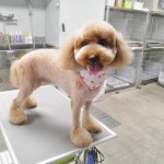 うにちゃん